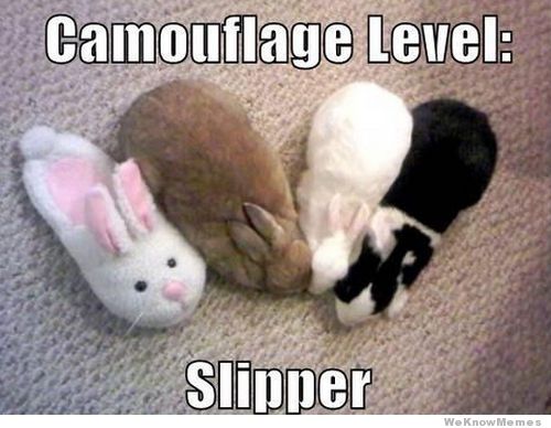 Hop To Pop Page 5 Of 49 Slippers Bunnies And Rabbits In Pop Culture