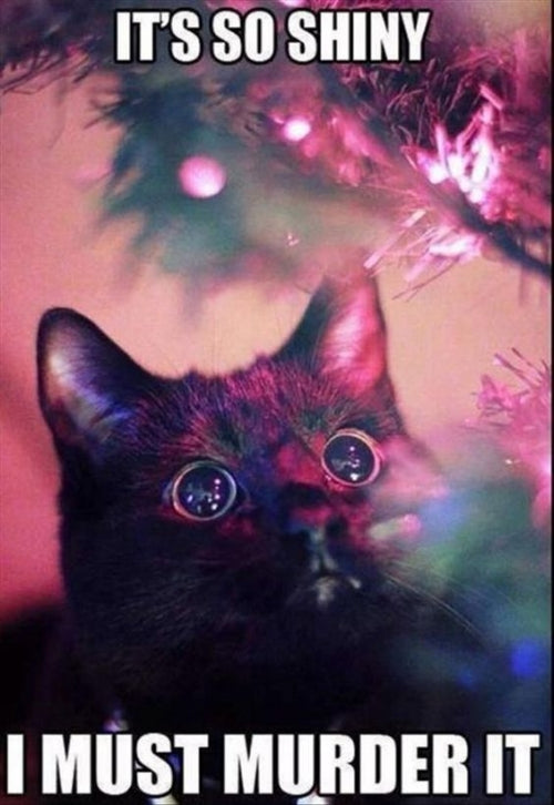 The Funniest & Furriest Holiday Memes!