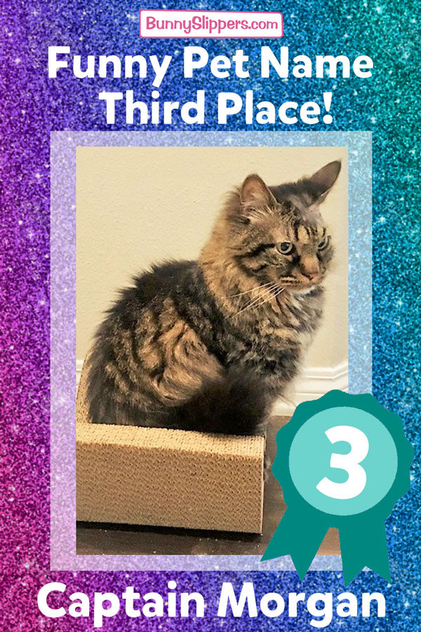 Funny Pet Names Contest 2020 Winners!