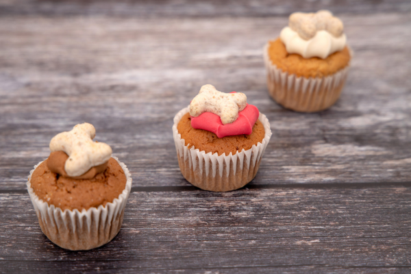 Pawsitively Merry: Including Your Pets in Holiday Celebrations