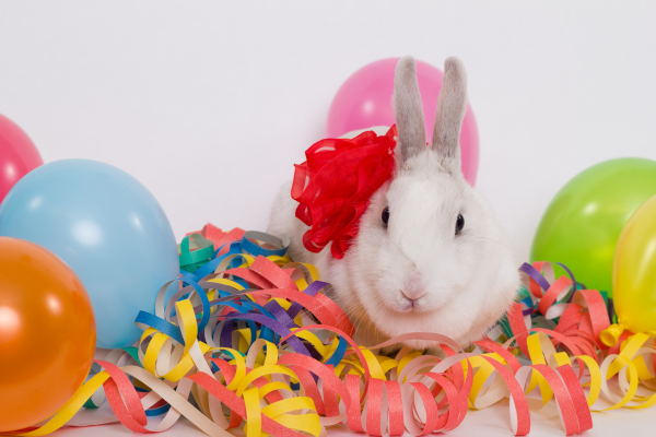 Leapin' Bunnies... it's Leap Day!  Do you know any of these fun facts?