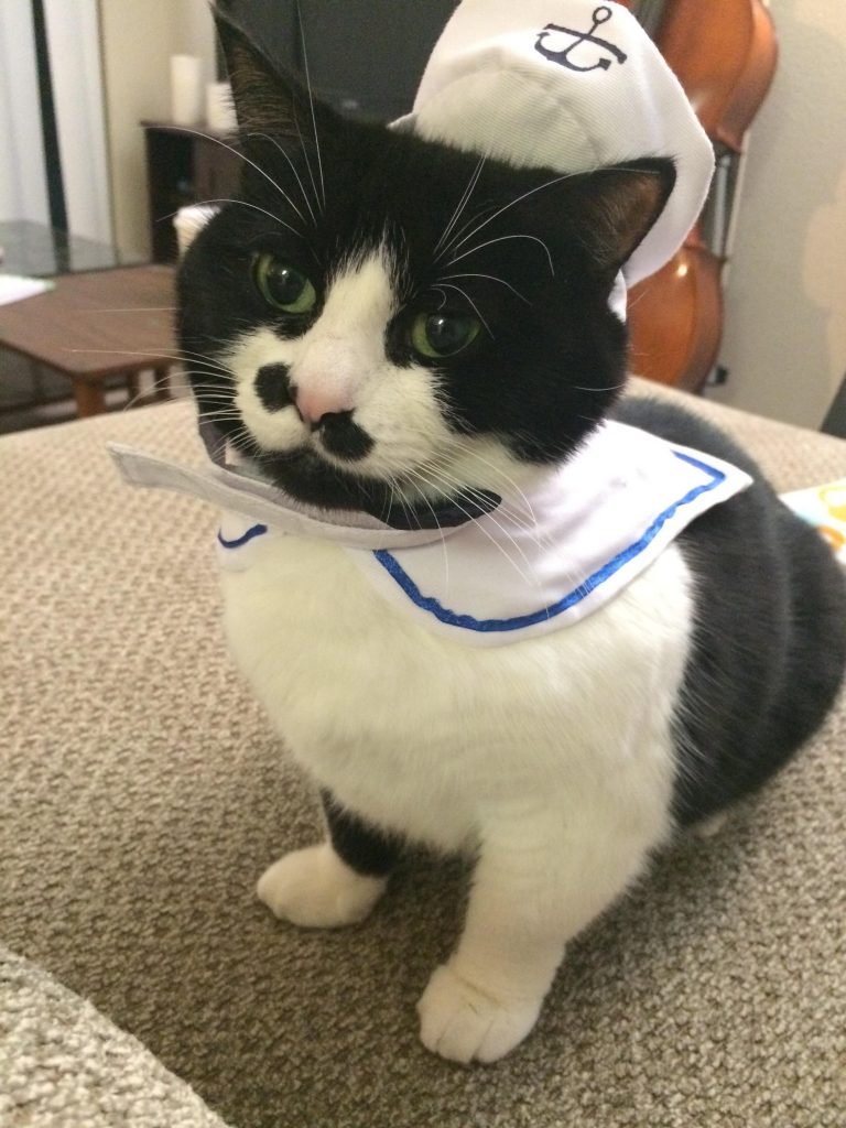 20 Adorable Pets Dressed for Halloween!
