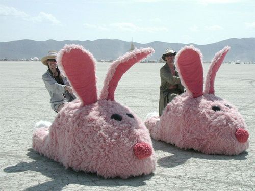 Our Dream Car: Bunny Slippers!