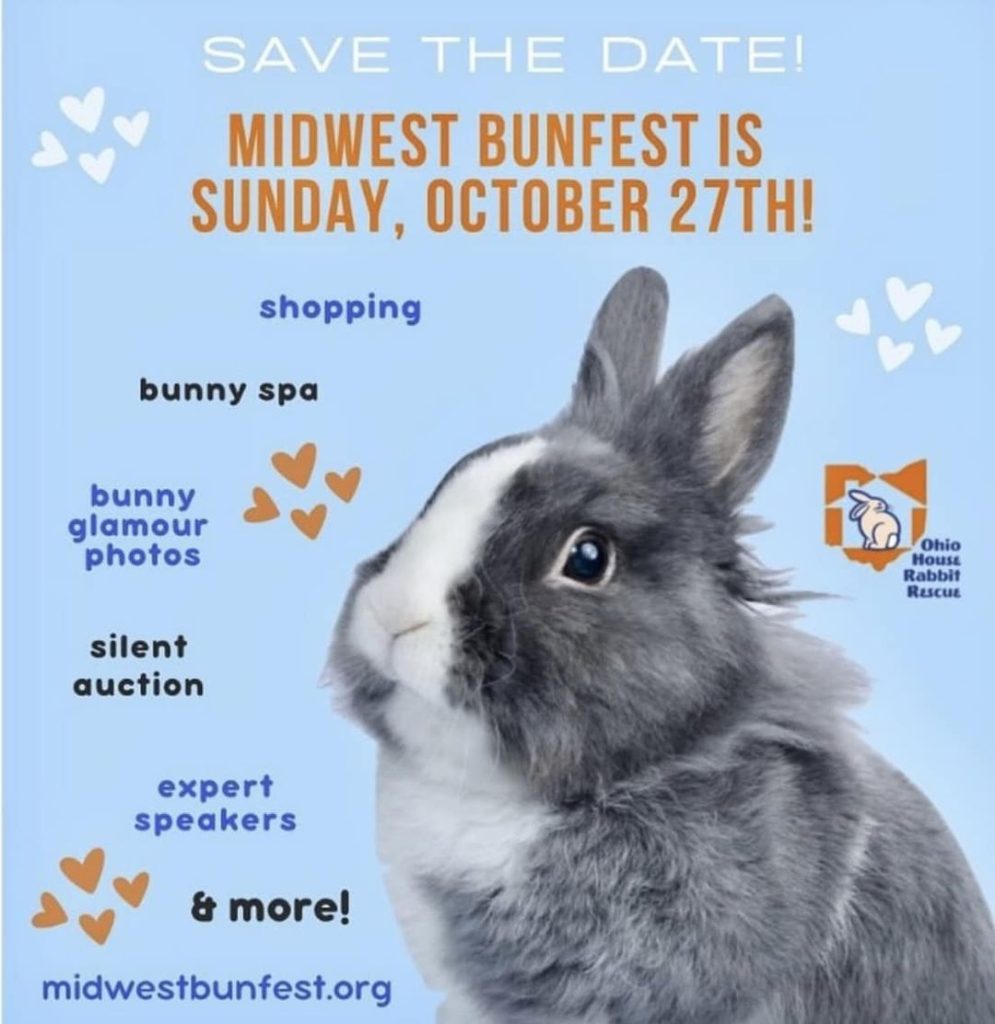 Calling All Bunny Lovers: Two Rabbit Events You Can't Miss!