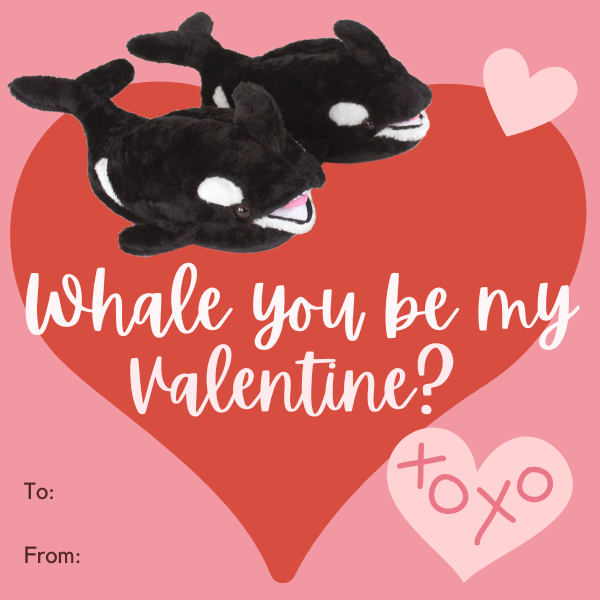 These Slipper Valentines will make you LOL!
