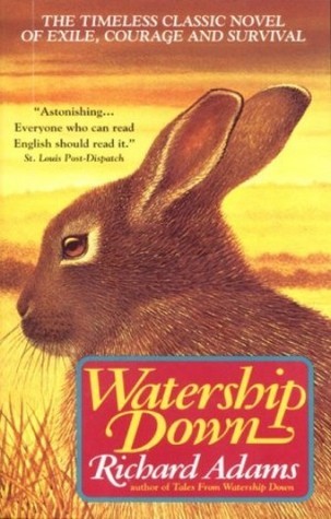 Bunny Tales: Our Top Ten Favorite Books about Rabbits!