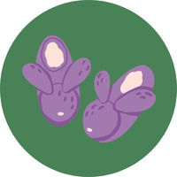 Green circle with small pair of purple bunny slippers inside it