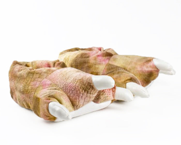 Brown Dinosaur Feet Slippers 1