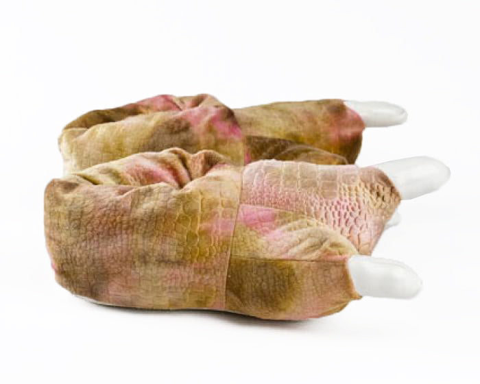 Brown Dinosaur Feet Slippers 2