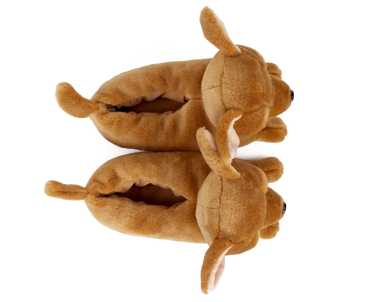 Chihuahua Slippers Top View