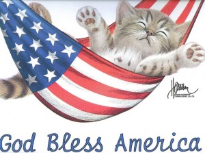cutest patriotic kitten hammock