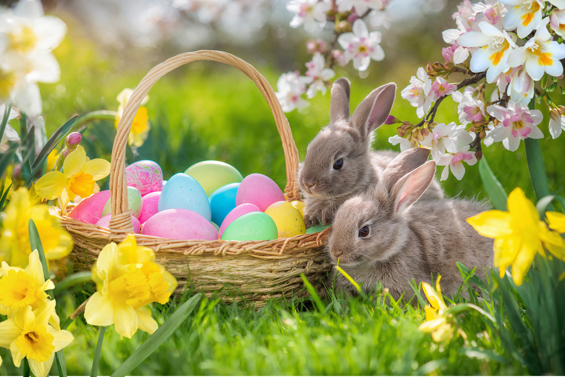 Two brown bunnies in a grassy field with an Easter basket full of eggs