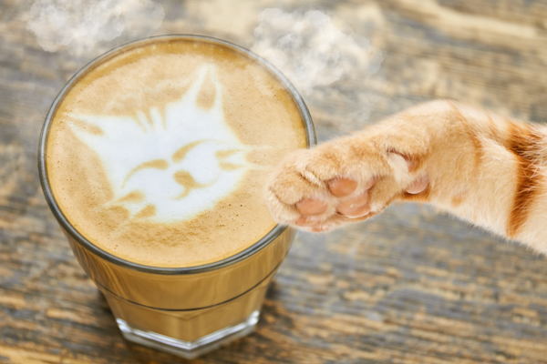 Cappuccino on a wooden table with a cat design in the foam, and a cat's paw touching it
