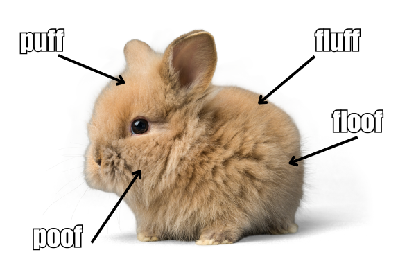 The Best Bunny Rabbit Memes