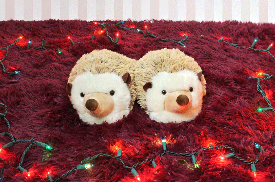 Pair of hedgehog slippers on a magenta carpet with holiday lights around it