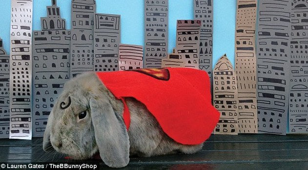Cuteness Overload: Superhero Bunny Hops to the Rescue