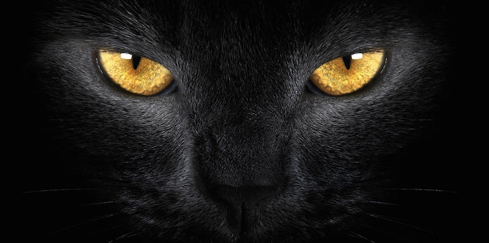 Oddities: Weird Superstitions From Around the World