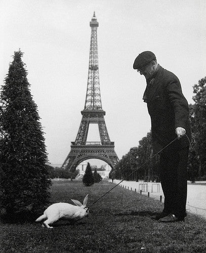 Euh, Quoi De Neuf Docteur?