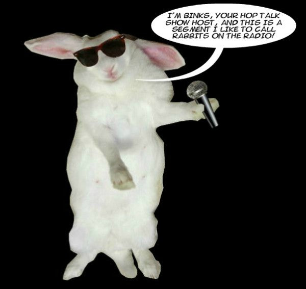 Music To My Hares: 10 Rabbit Songs