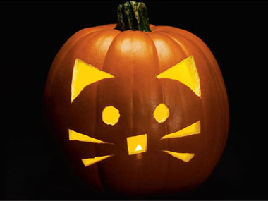 13 Carved Pumpkins For The Cutest Halloween Ever