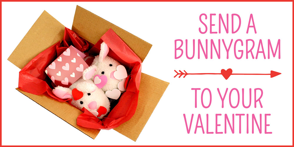 BunnyGram - Our Best Valentine's Day Gift Idea!