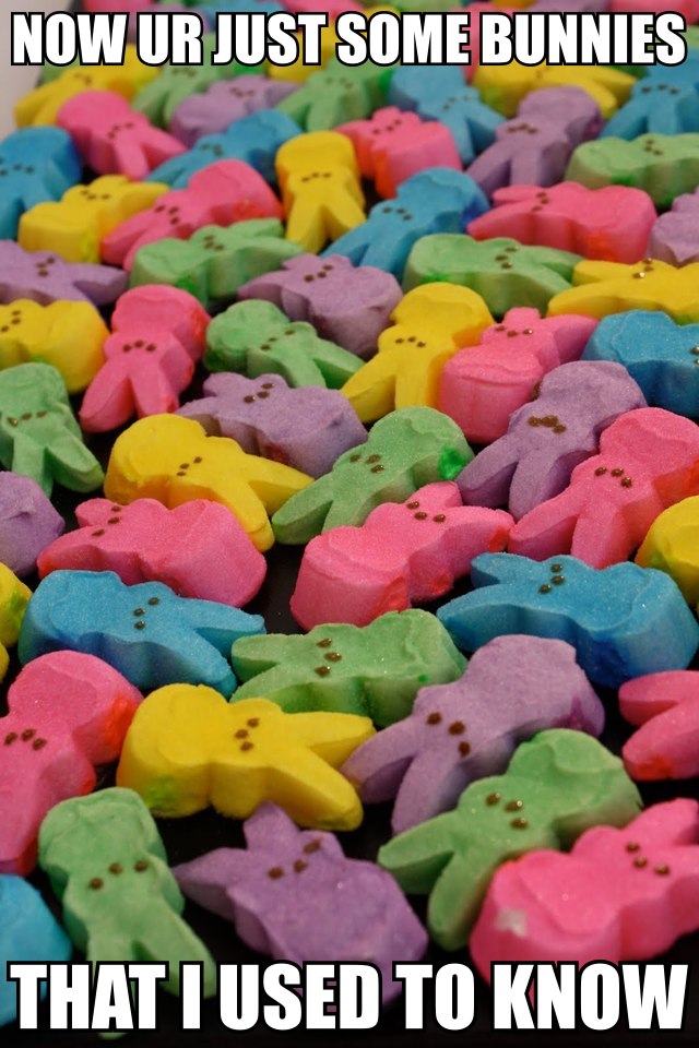 Fond Memories of a Time Since Past