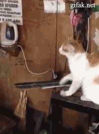 8 Polite Animals You'd Want To Invite To Tea and Marmalade Sandwiches