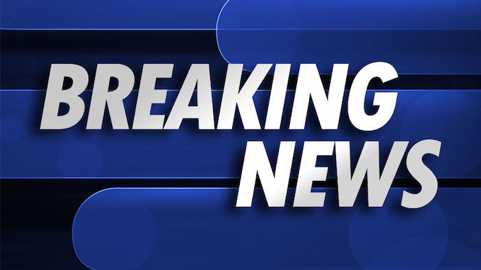 Slippers in the News