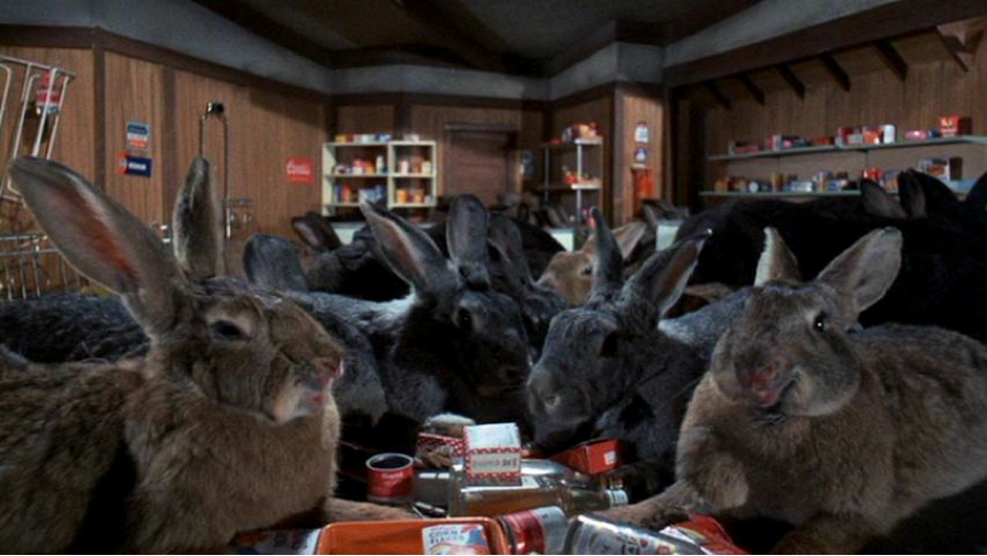 The 8 Most Important Bunnies in Film