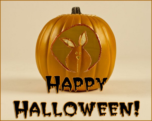 It's Almost Halloween...