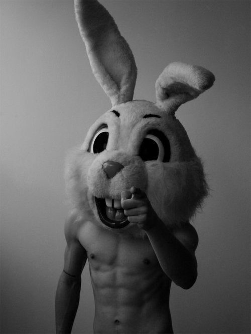 Ripped Rabbit
