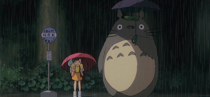 Slippers Guide: My Neighbor Totoro Slippers