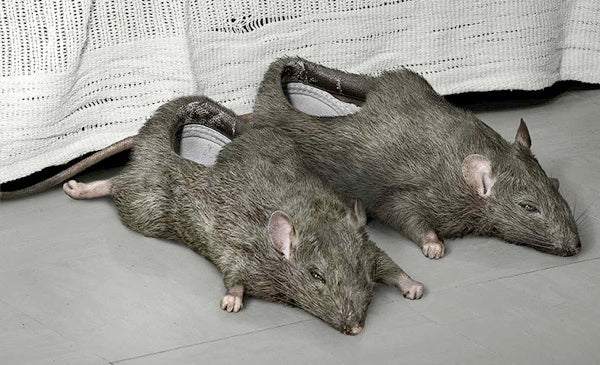 Be Creative: 10 Awesomely Crazy Slippers