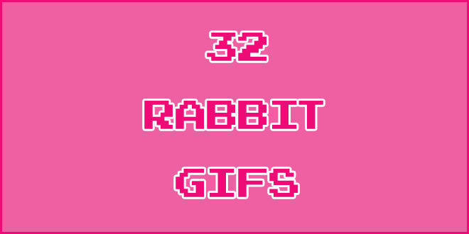 This Gallery Of 32 Amazing Rabbit GIFS Is The Best Thing You Will Find On The Internet. Ever.