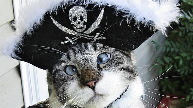 Ahoy, It's International Talk Like A Pirate Day!