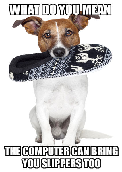 Free Slippers: In Your Inbox?