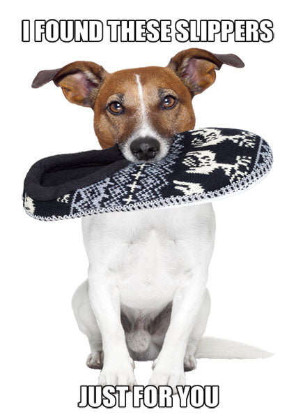 You Could Win Free Slippers!