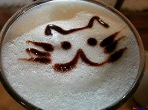 Have A Cat-uccino: Cat Cafes Around The World
