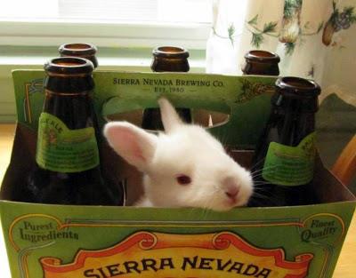 Something's A Brewin' With This Beer Bunny