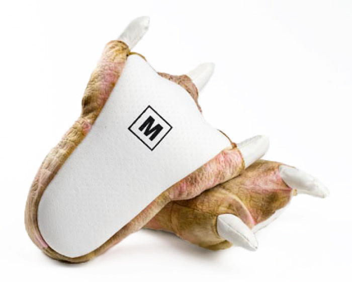 Brown Dinosaur Feet Slippers 3