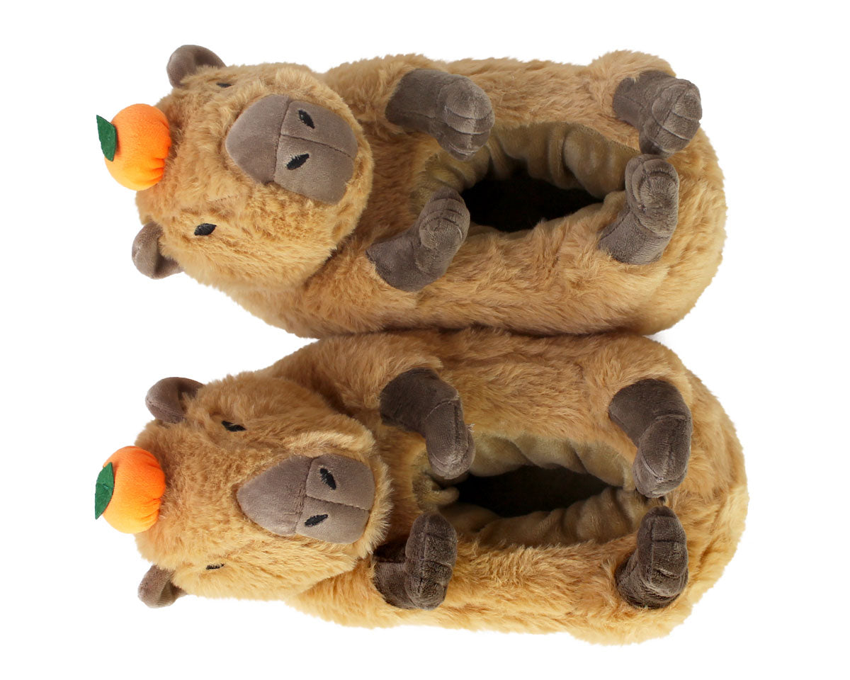 Capybara Slippers Top View