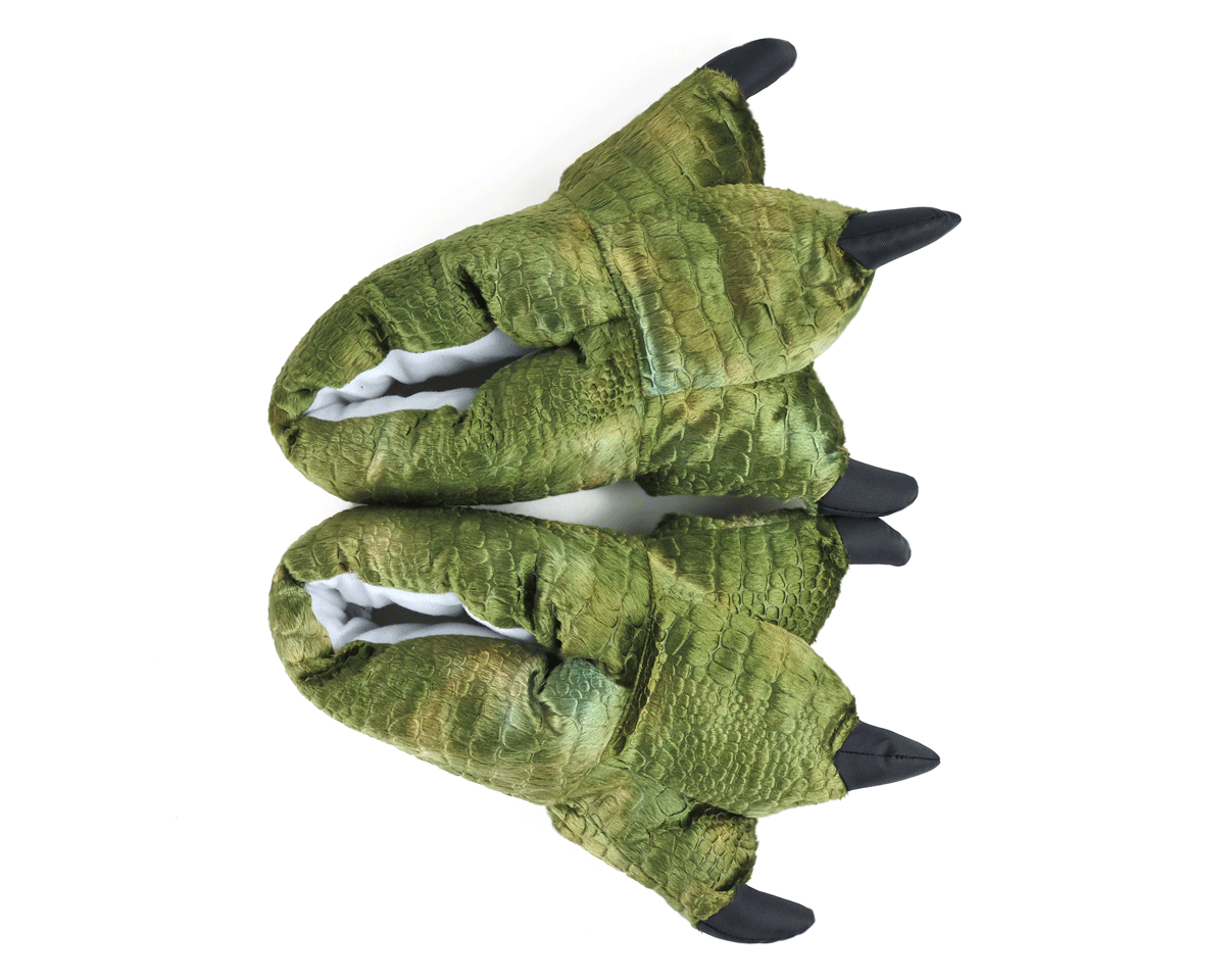 Pair of green dinosaur claw slippers seen from above.