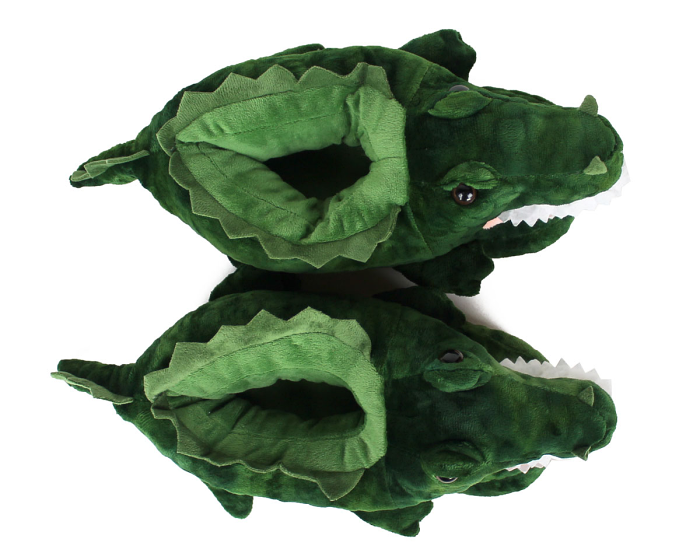 Alligator Slippers Top View