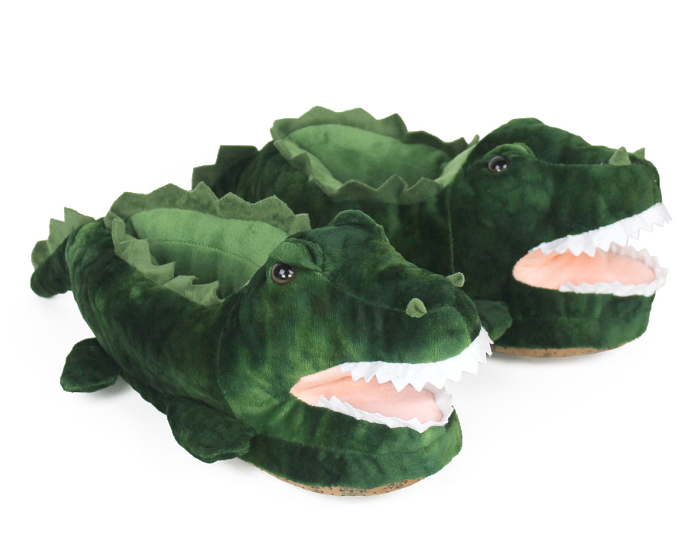 Alligator Slippers Top View