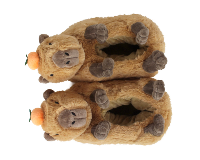 Kids Capybara Slippers Top View