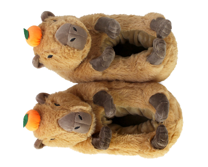 Capybara Slippers Top View