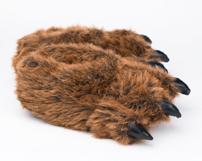 fuzzy bear paw slippers