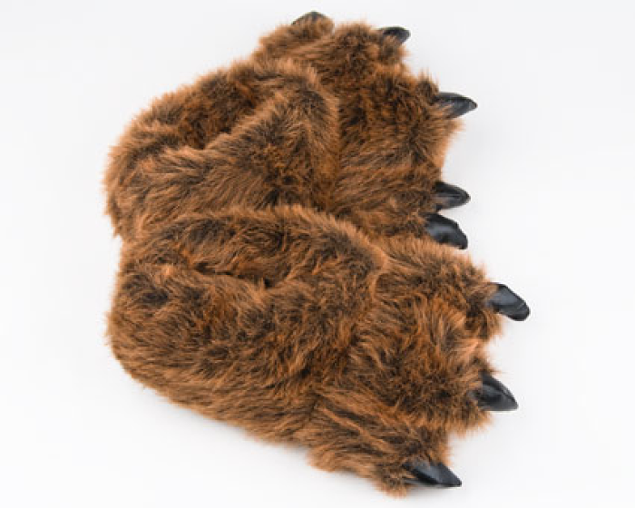 bearpaw house slippers
