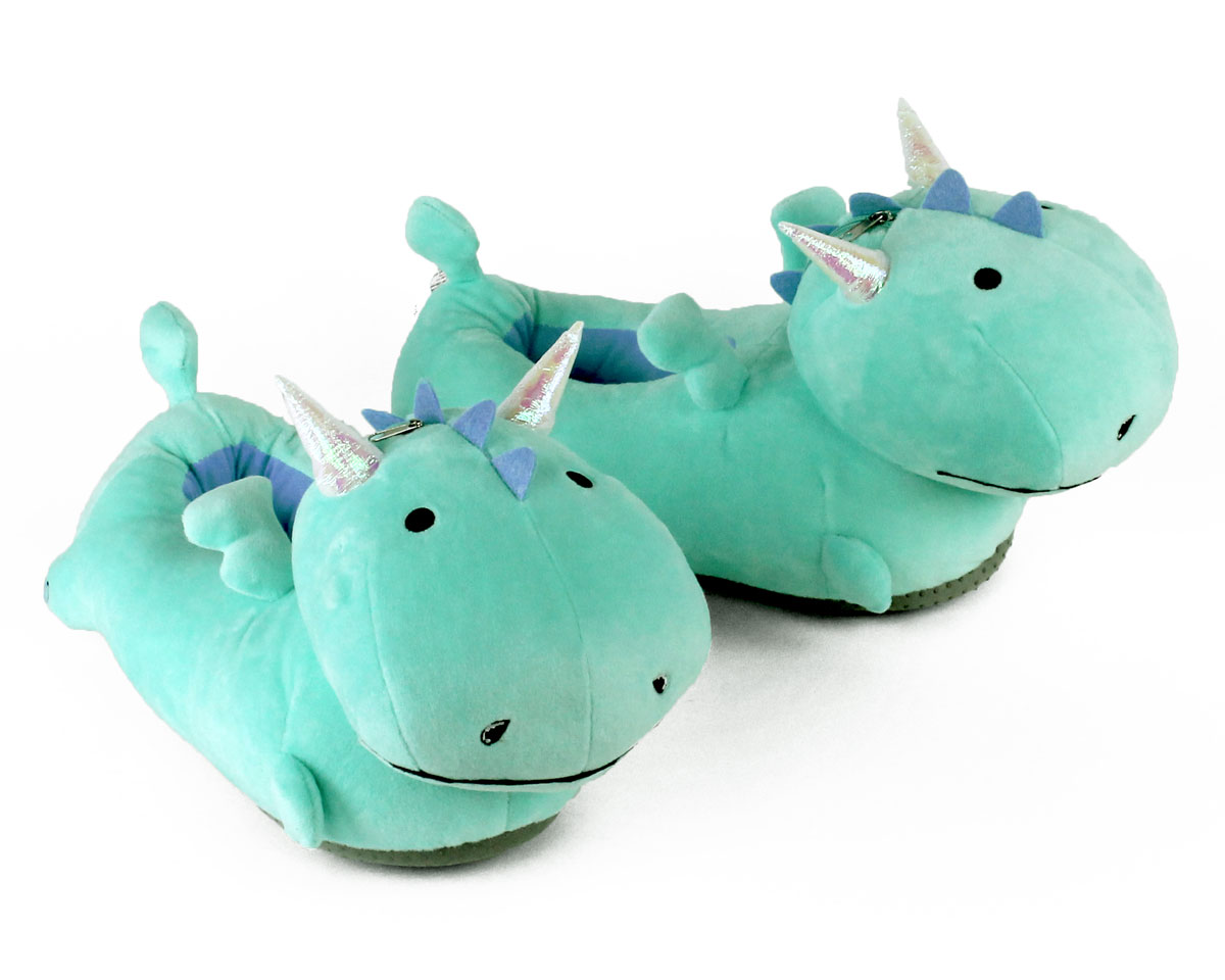dragon slippers series