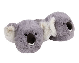 koala bear slippers